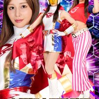 SPSF-78 The Ultimate Monster Development Project Suspect P.B.I. vs. the Science Birdman Squad “Bird Soldier” Valkyrie Honoka Ashina